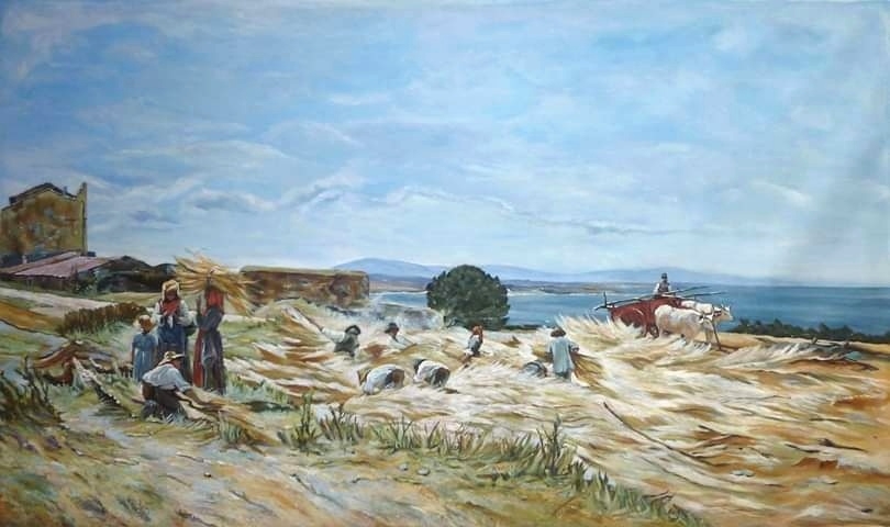 La raccolta del grano