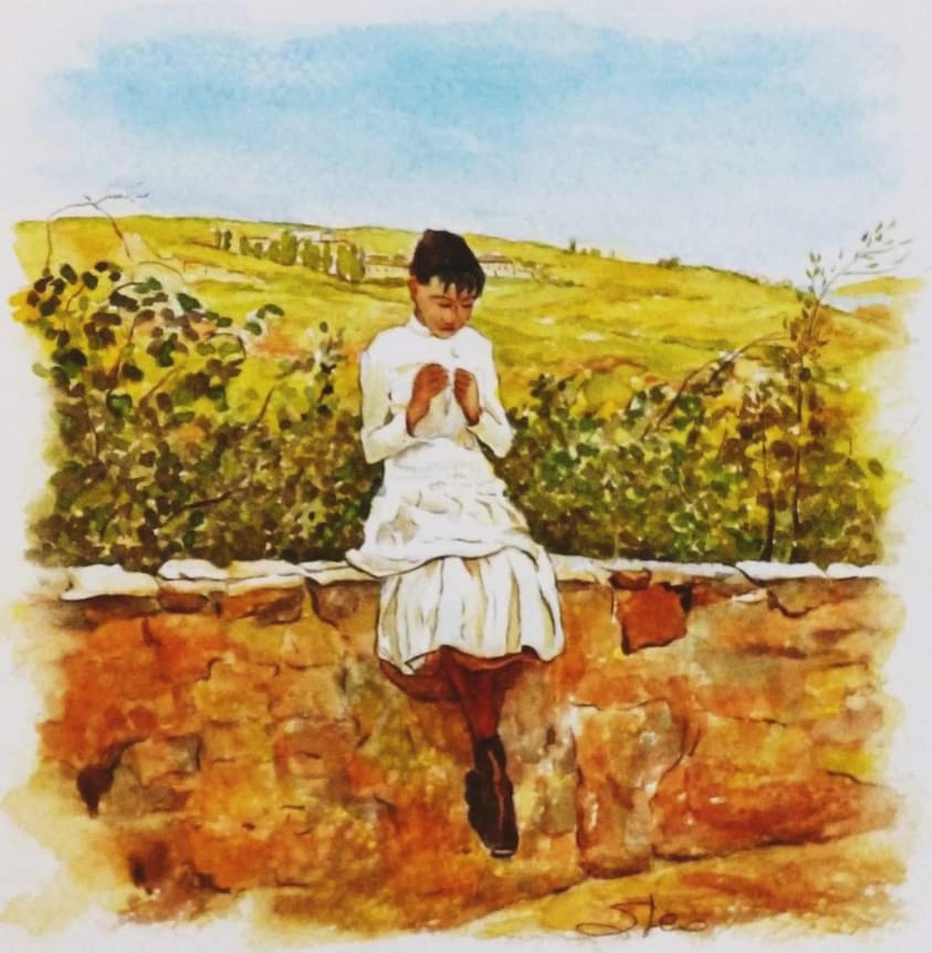Colline di settignano